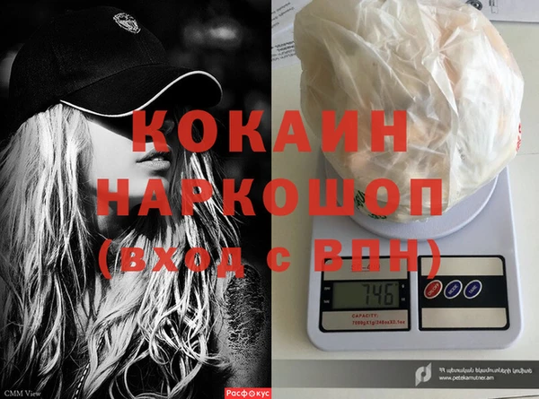 бошки Новодвинск
