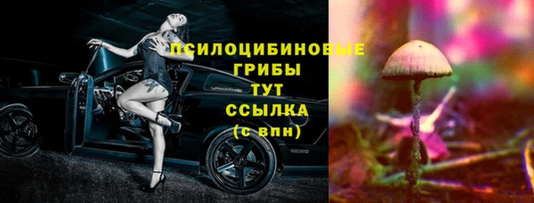 a pvp Новокубанск