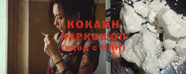 бошки Новодвинск