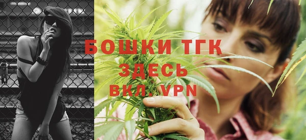бошки Новодвинск